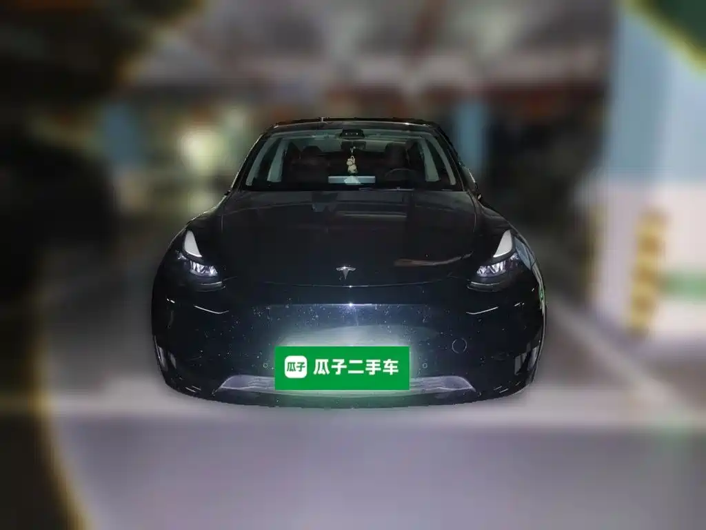 Tesla Model Y — миниатюра 24