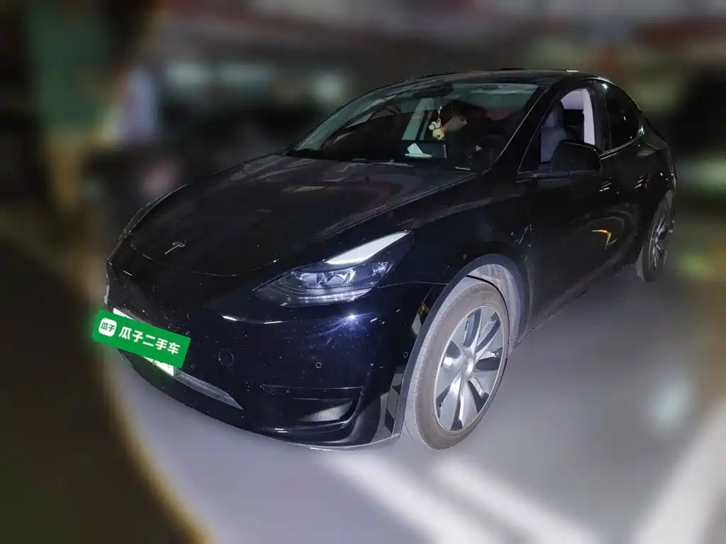 Tesla Model Y — миниатюра 2