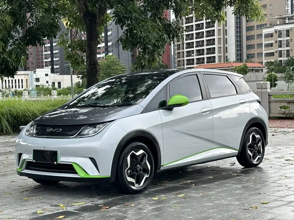 BYD Dolphin — миниатюра 2