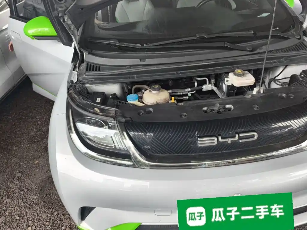 BYD Dolphin — миниатюра 20