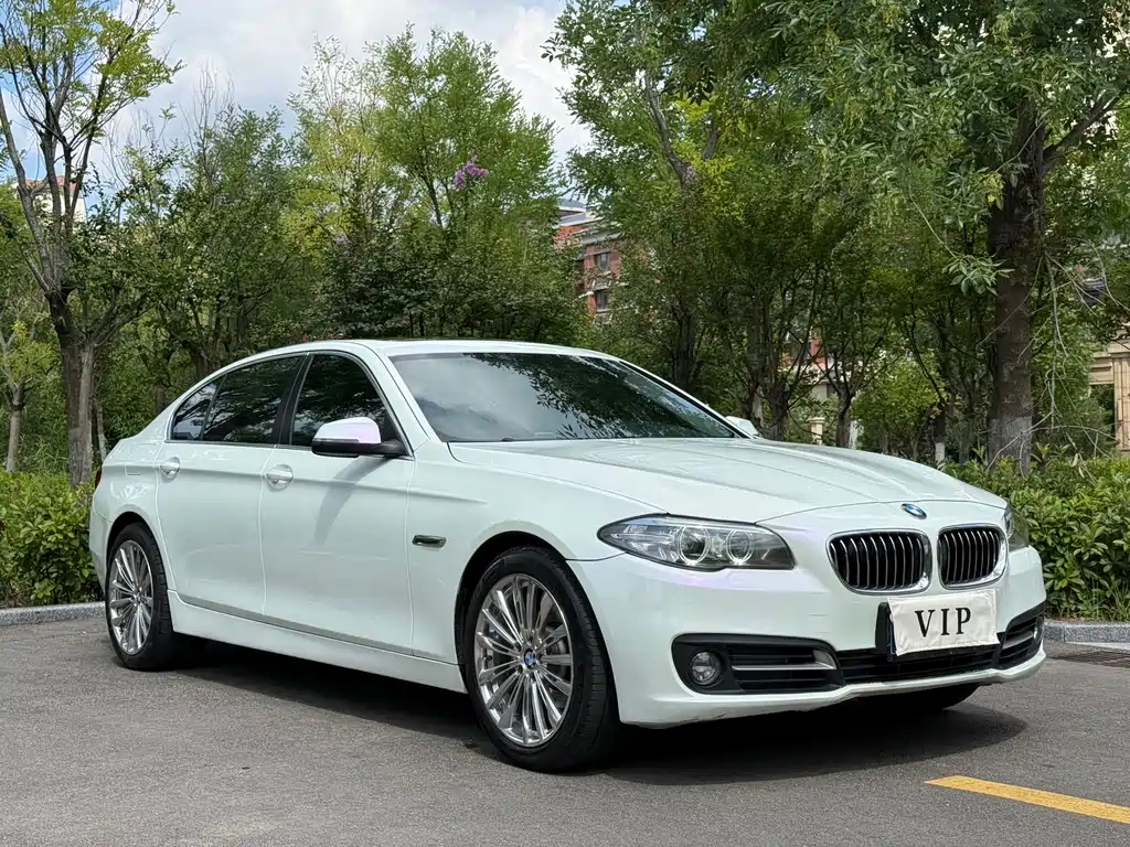 BMW 5 Series — миниатюра 3