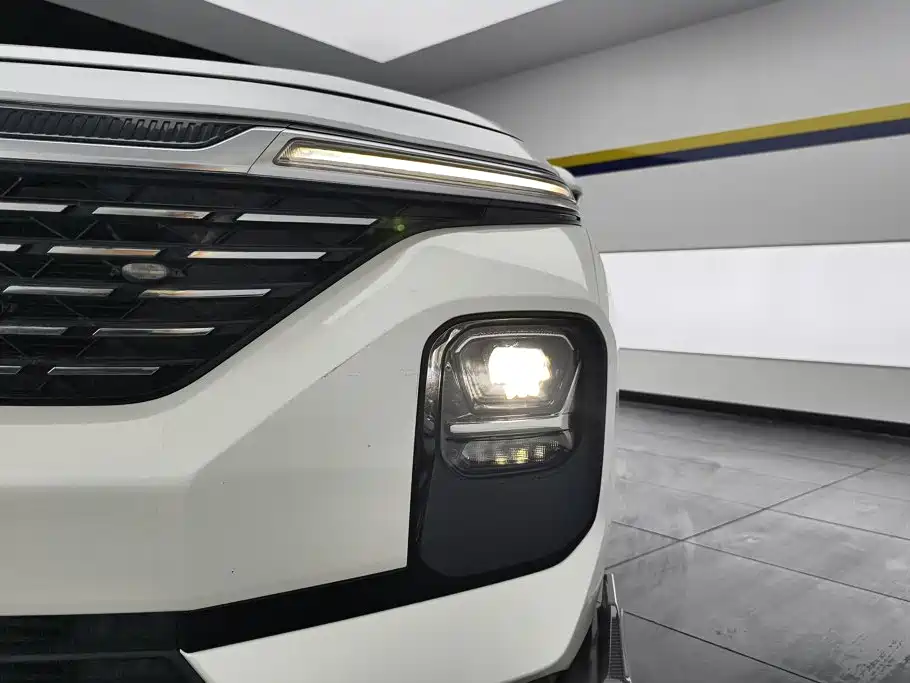 Baojun Valli — миниатюра 5