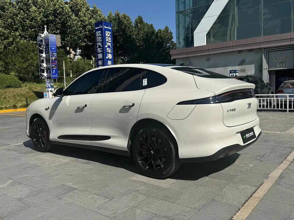 IM IM LS6 — миниатюра 10