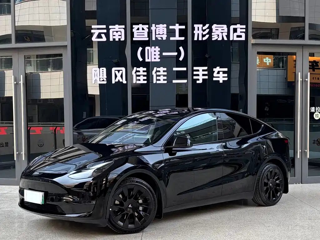 Tesla Model Y 2021