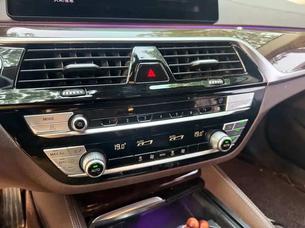 BMW 5 Series 5 2020 525Li Luxury