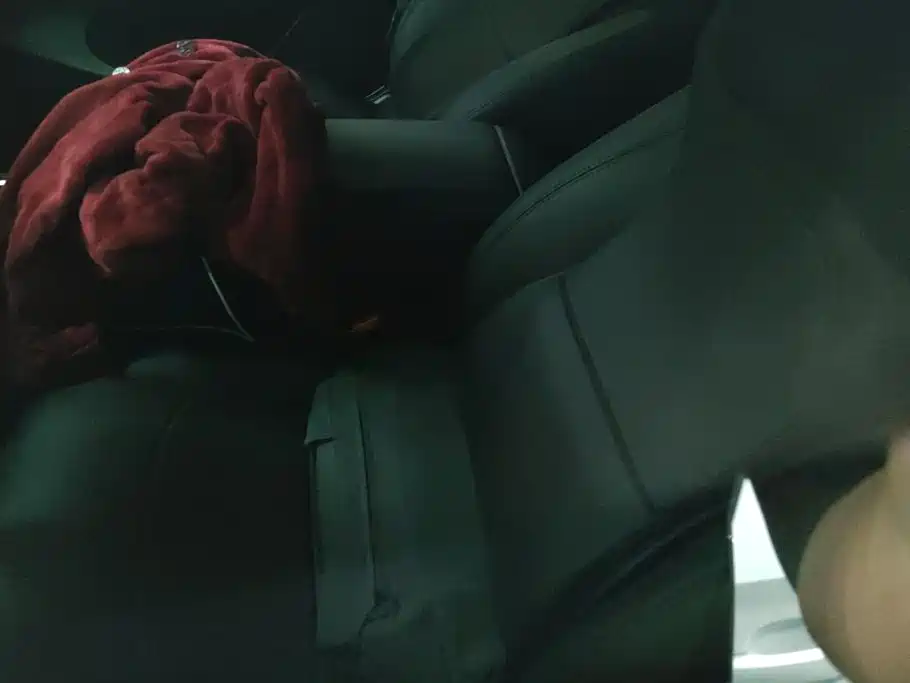 Tesla Model Y — миниатюра 7