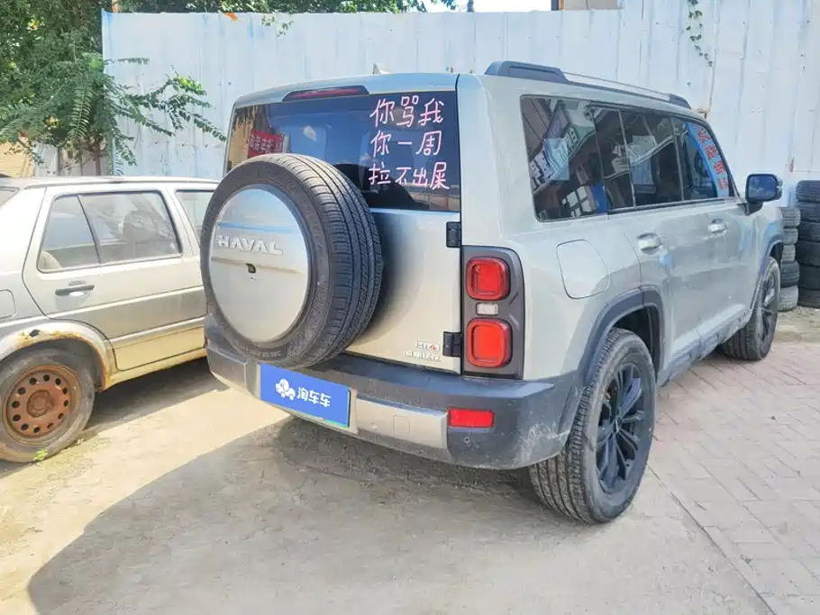 Haval Menglong New Energy — миниатюра 3