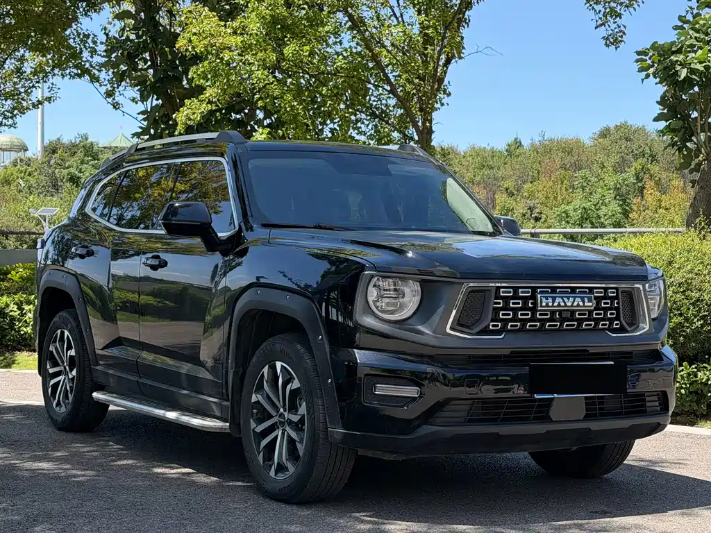 Haval Big Dog PLUS — миниатюра 3