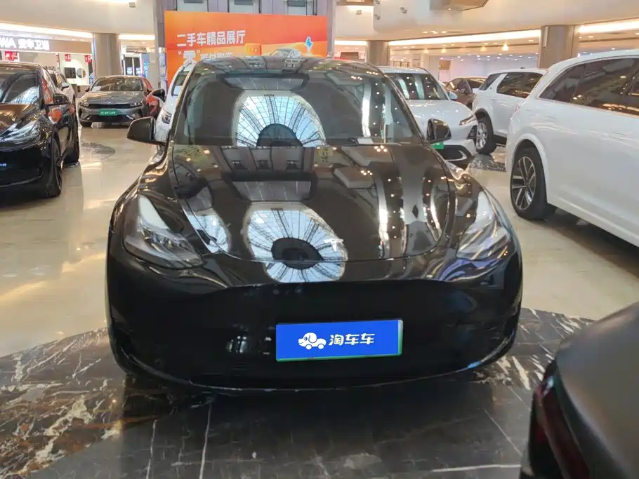 Tesla Model Y — миниатюра 2