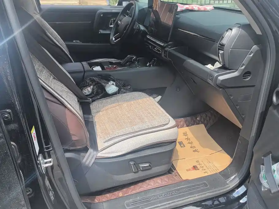 Haval Big Dog PLUS — миниатюра 7