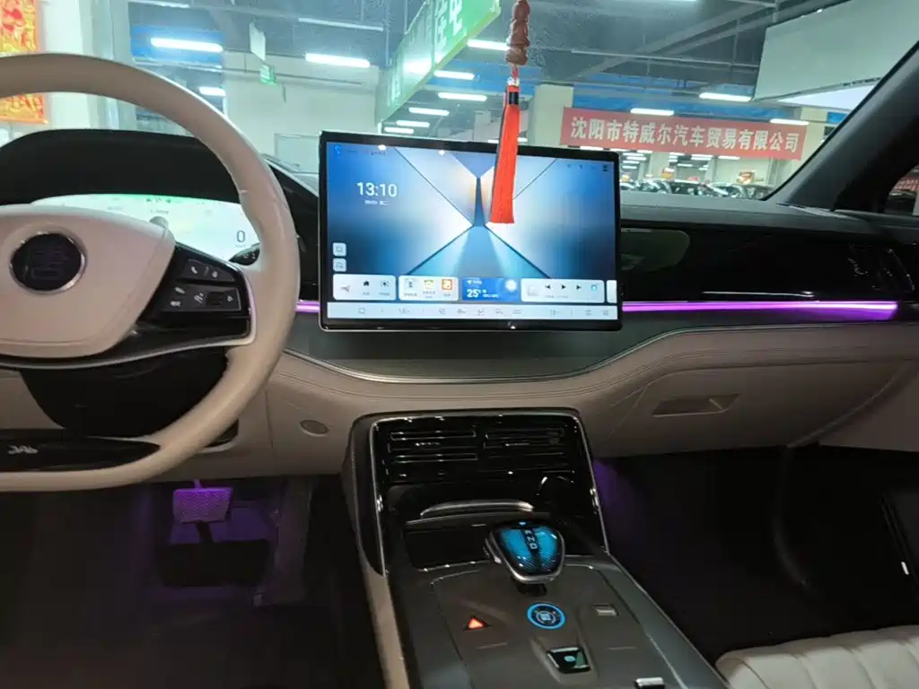 BYD Tang New Energy — миниатюра 13