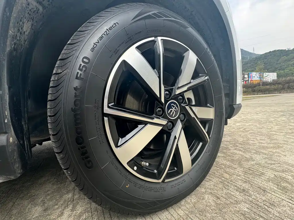 BYD SONGJIANG NEW ENERGY