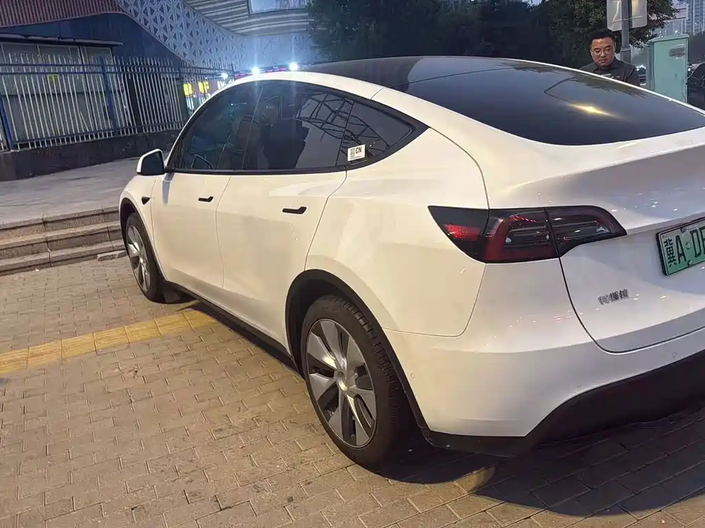 Tesla Model Y — миниатюра 6