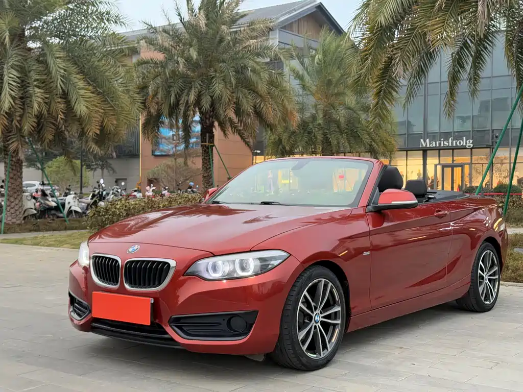 BMW 2 Series (Import) 2018