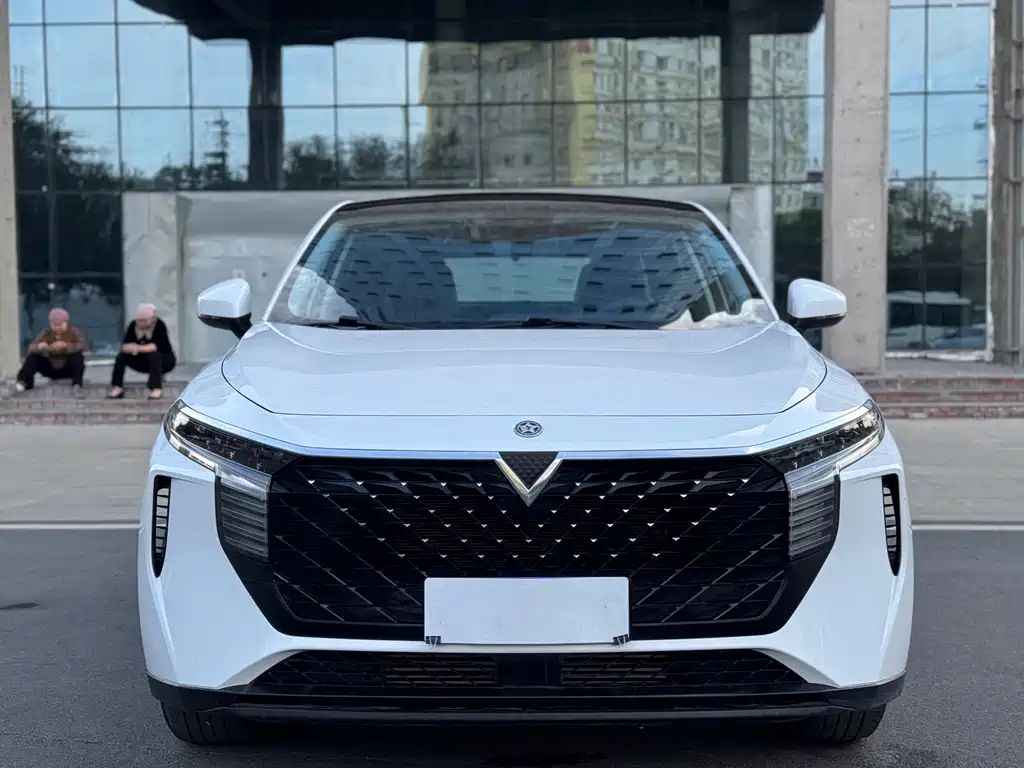 Venucia V — миниатюра 2