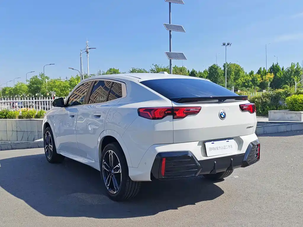 BMW X2 (Import) — миниатюра 18