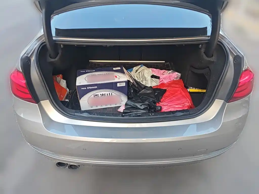 BMW 3 Series — миниатюра 10