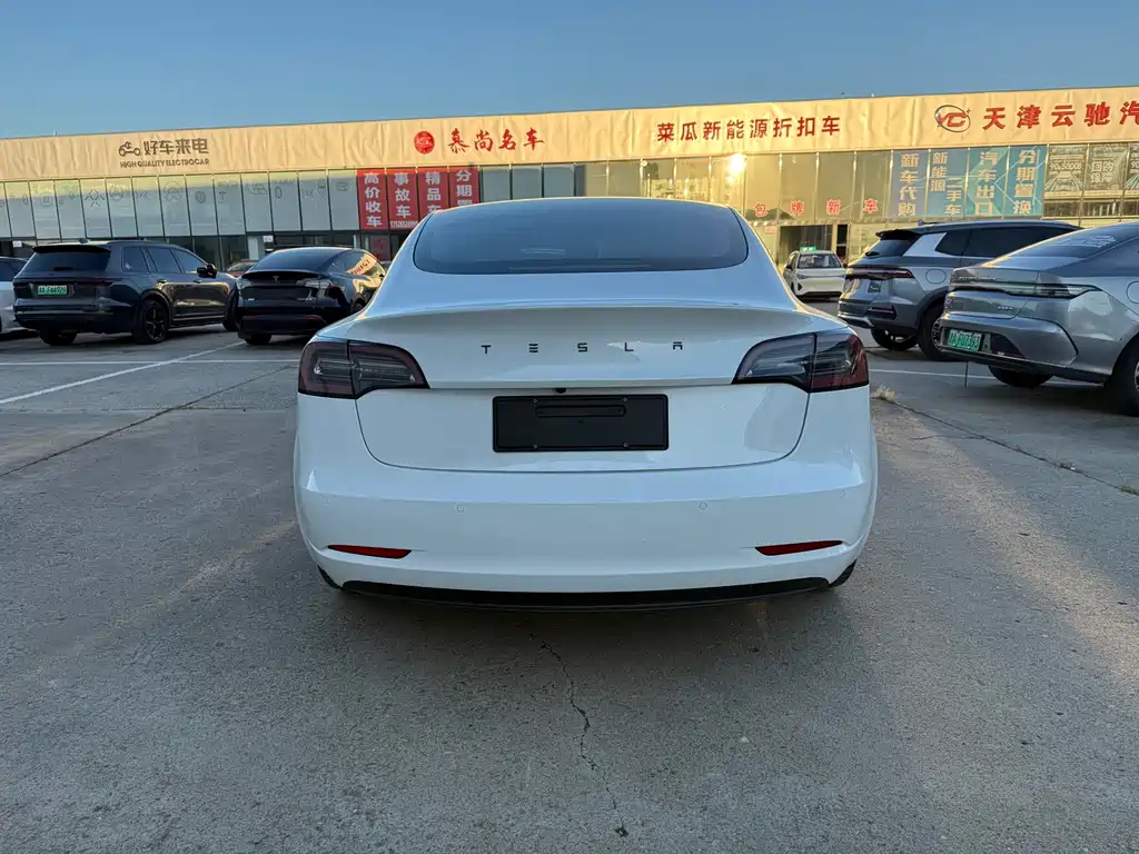 Tesla Model 3 — миниатюра 8