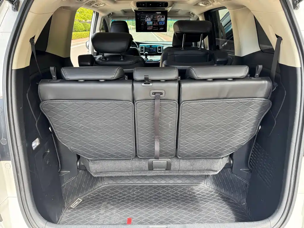Honda Elysion — миниатюра 10