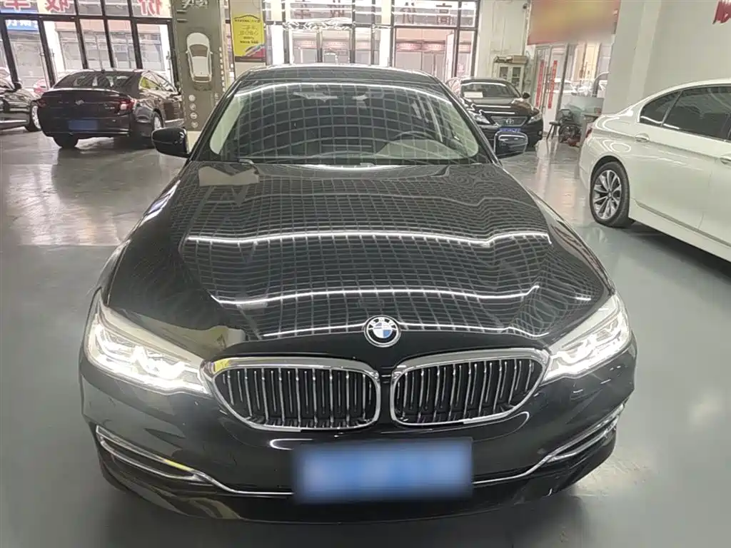 BMW 5 Series 5 2020 530Li Lead Luxury