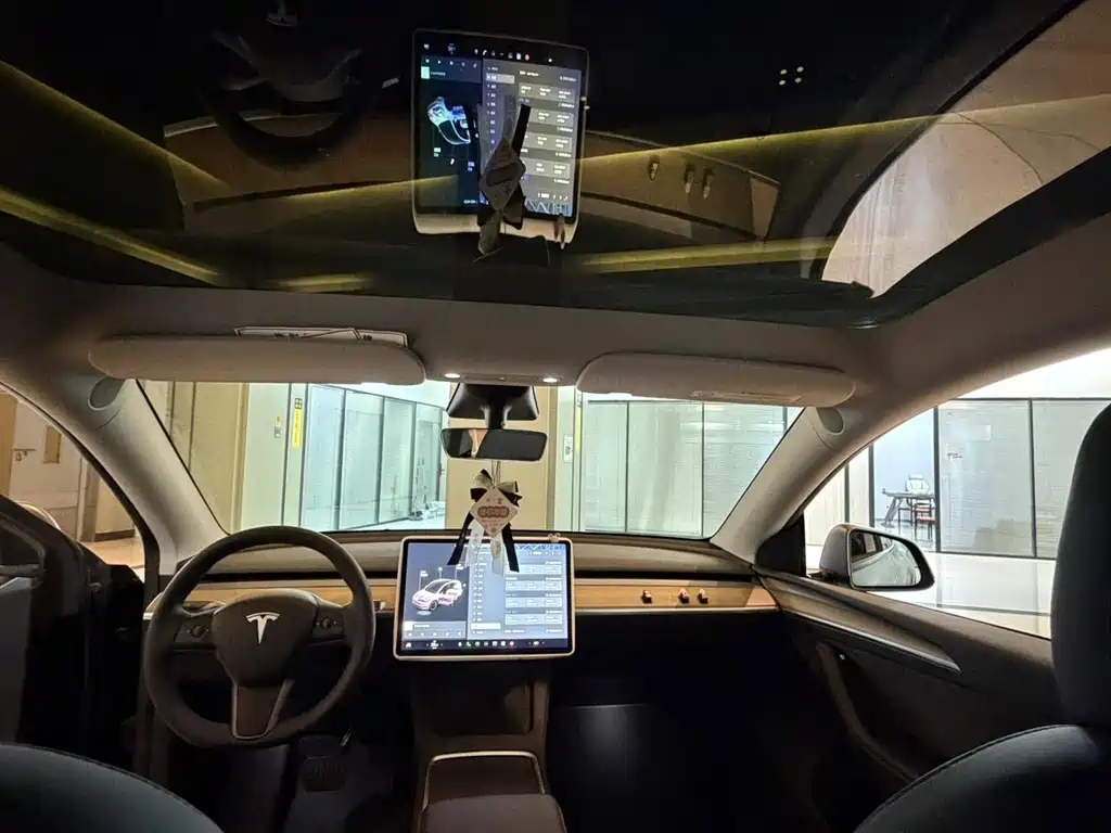 Tesla Model Y — миниатюра 4
