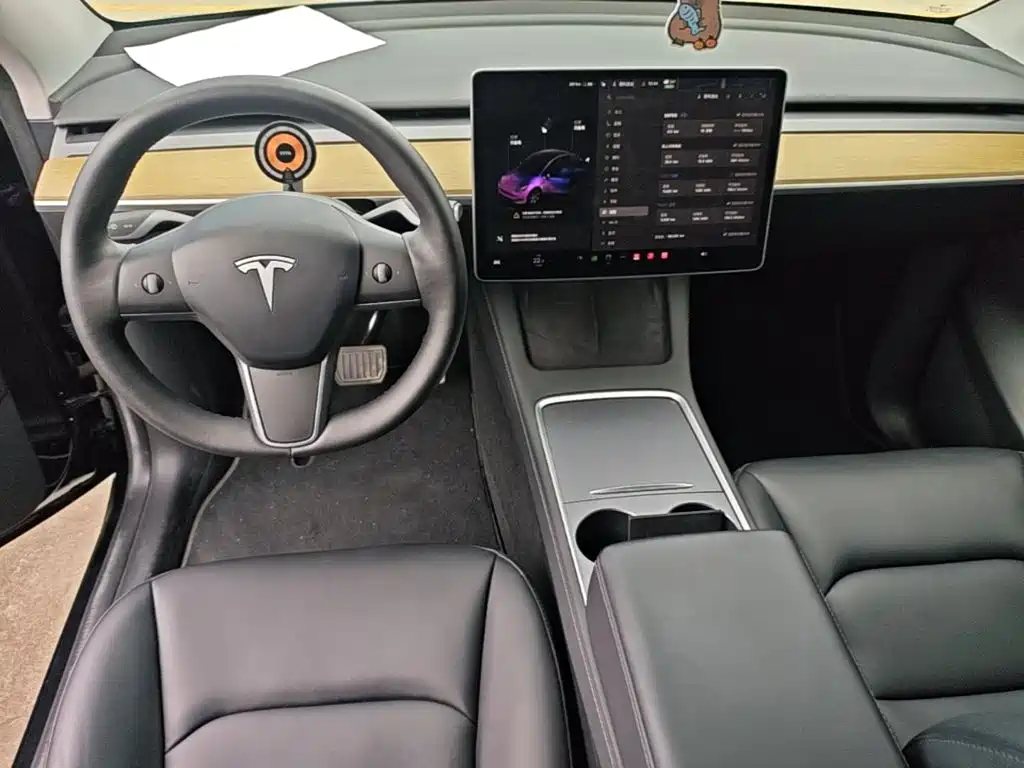 Tesla Model Y — миниатюра 10