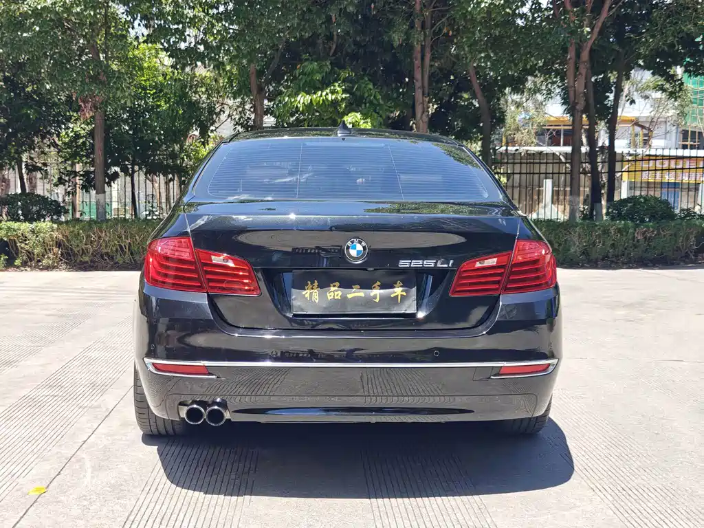 BMW 5 Series — миниатюра 14