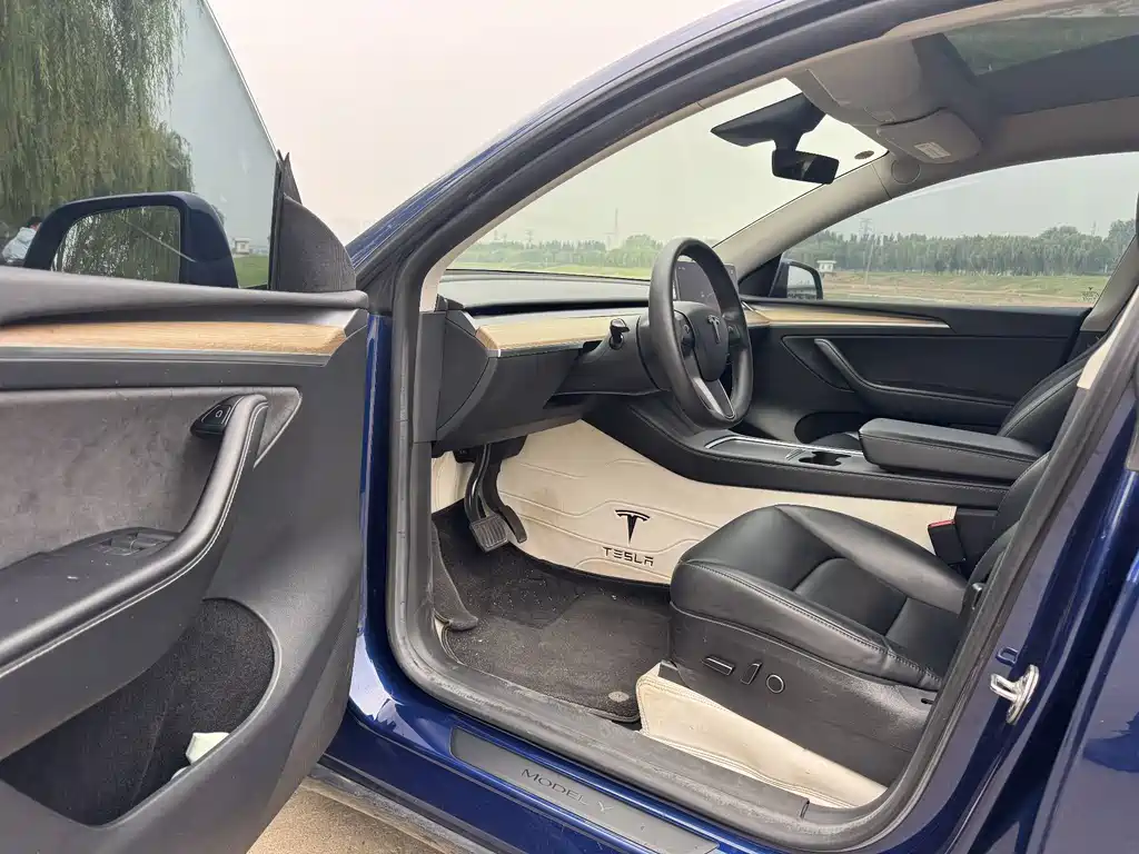 Tesla Model Y — миниатюра 4
