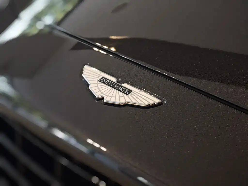 Aston Martin DBX — миниатюра 14