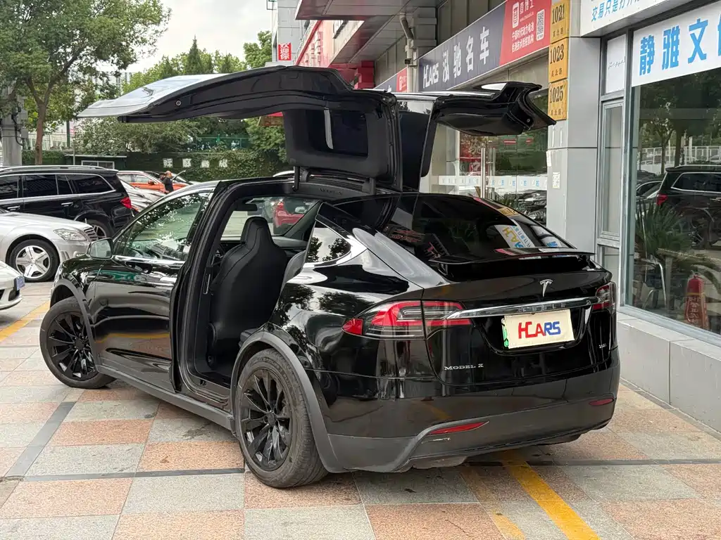 Tesla Model X — миниатюра 3