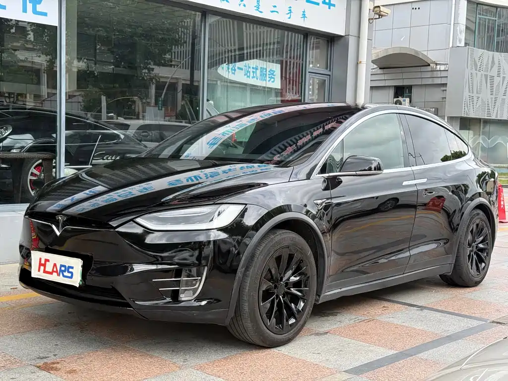 Tesla Model X — миниатюра 15