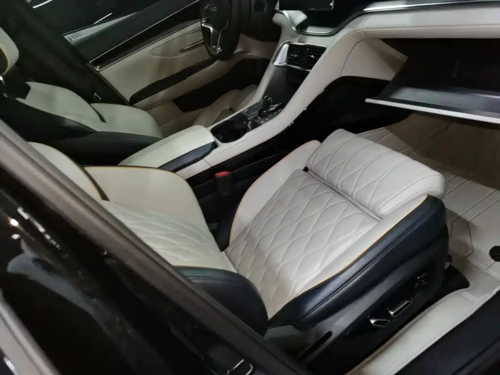 BYD PLUS New Energy — миниатюра 25
