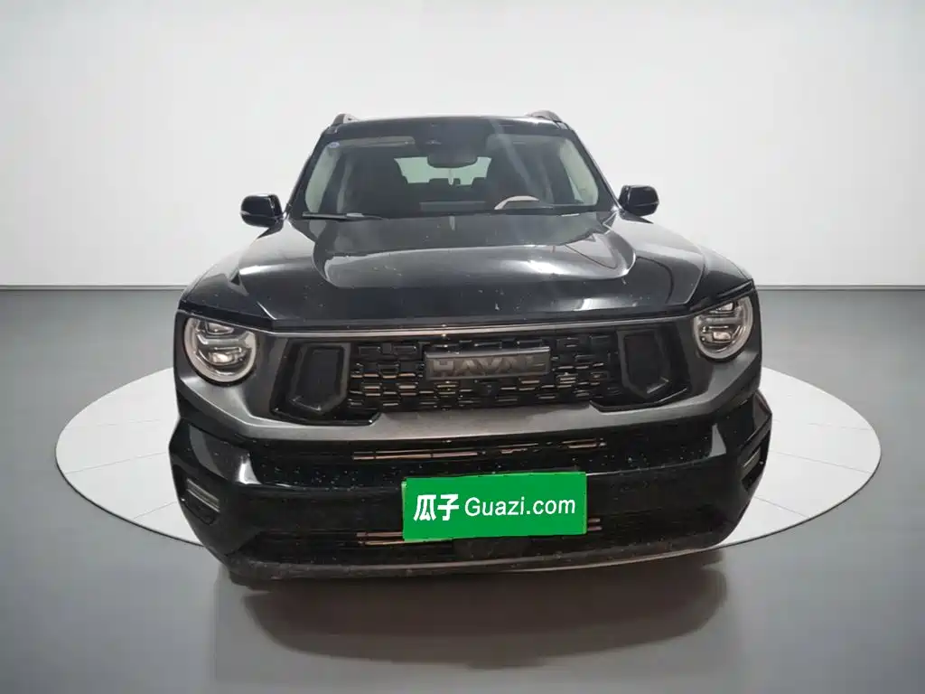Haval Big Dog PLUS — миниатюра 2