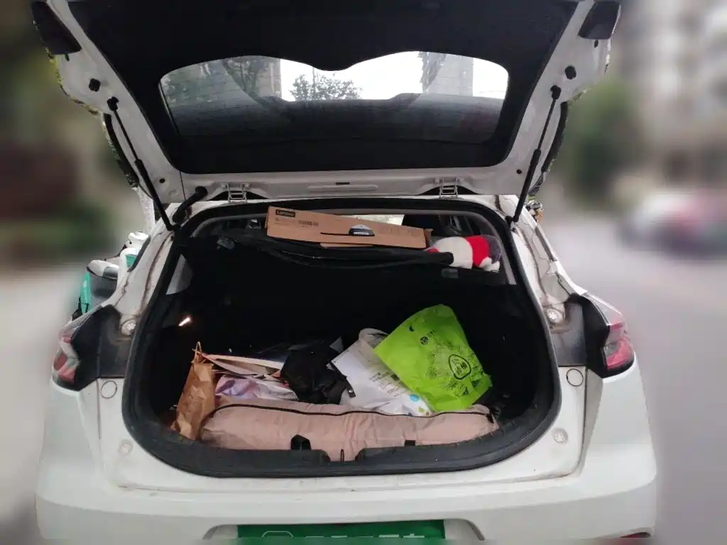 Geely Emgrand S — миниатюра 15