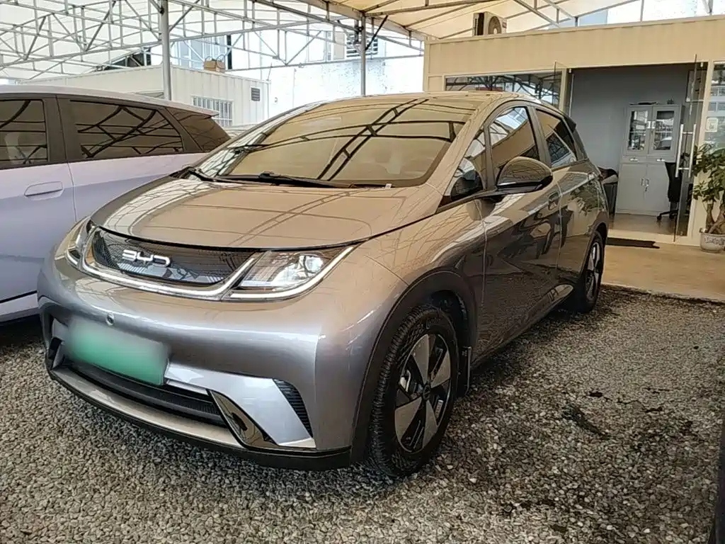 BYD Dolphin — миниатюра 2