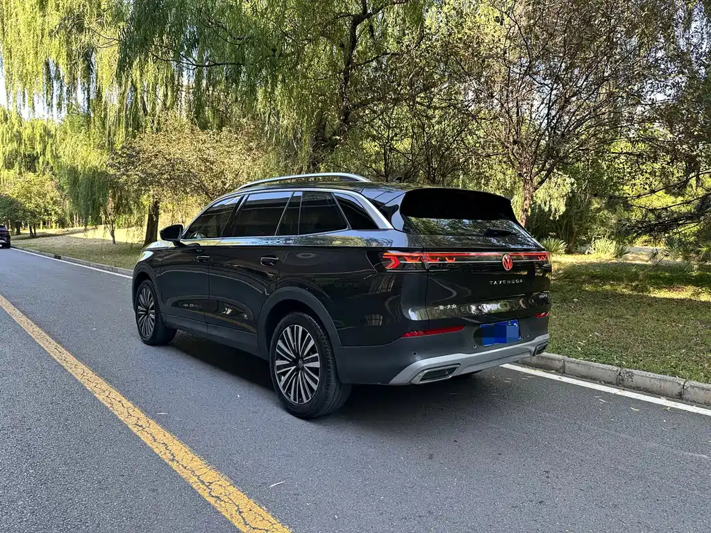 Volkswagen Tavendor — миниатюра 4