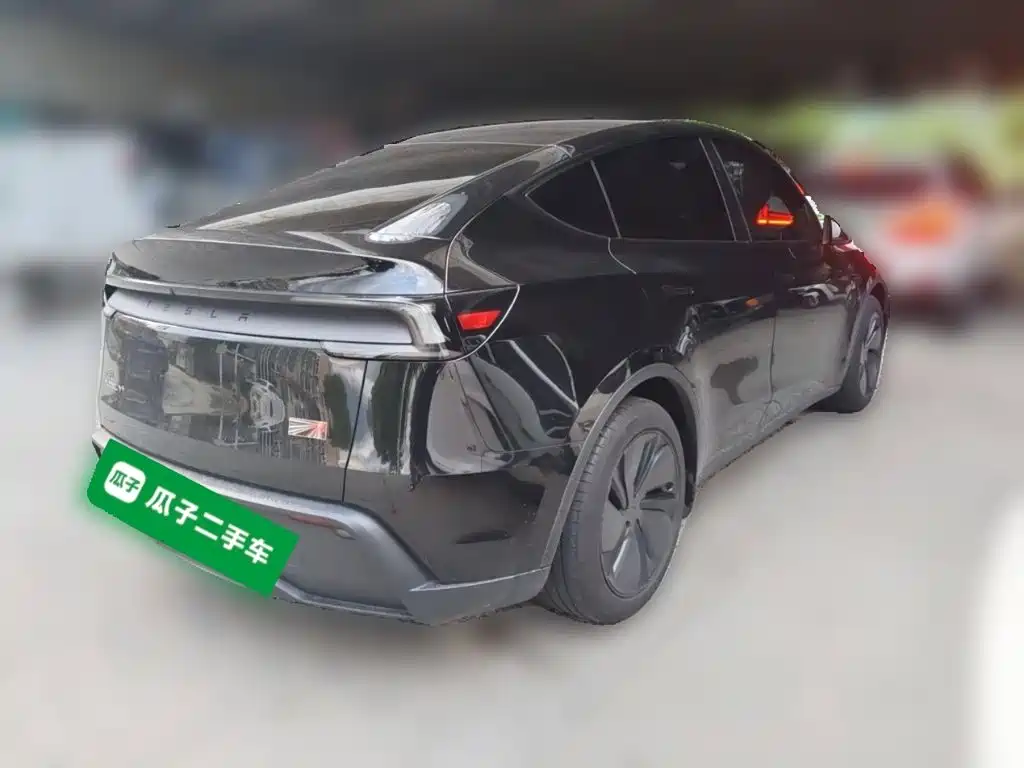 Tesla Model Y — миниатюра 4