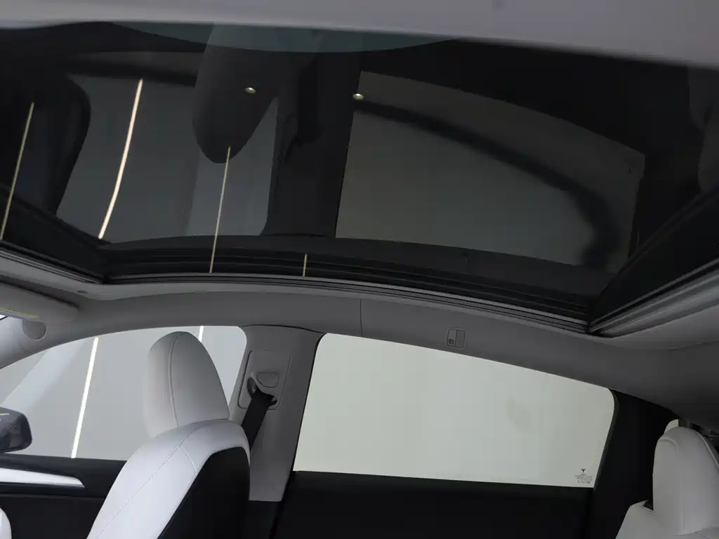 Tesla Model Y — миниатюра 15