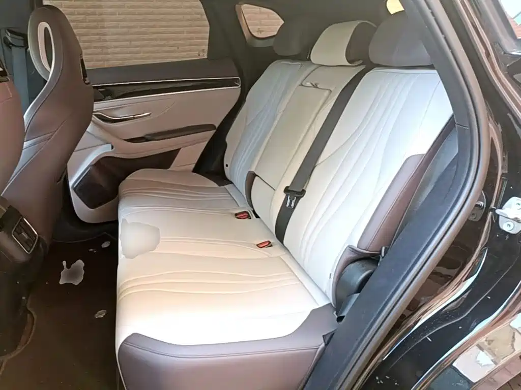 BYD PLUS New Energy — миниатюра 17