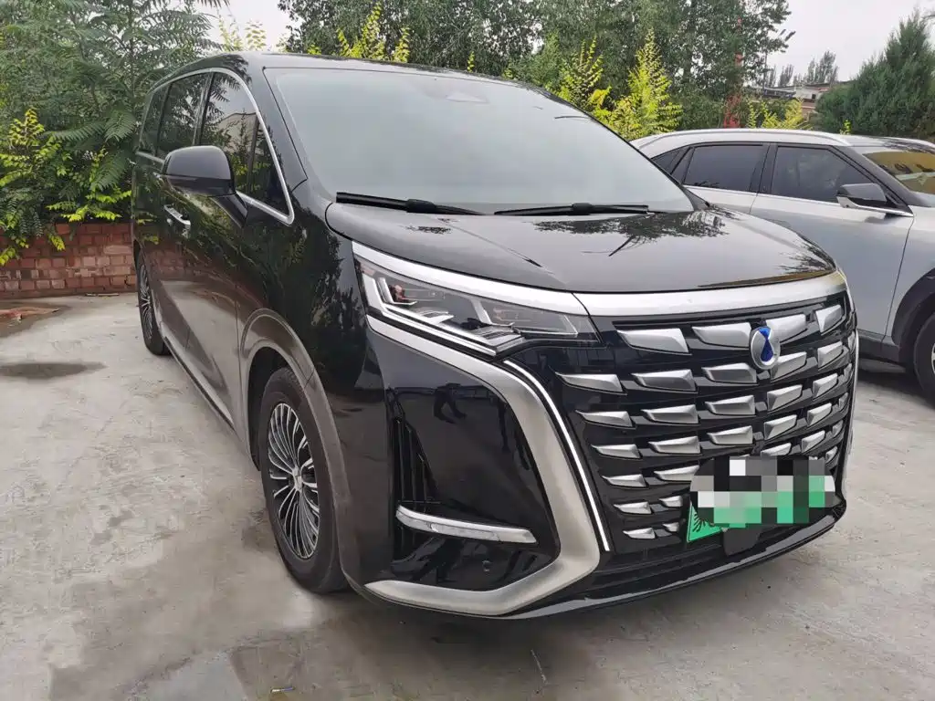 Denza Denza D9 — миниатюра 2