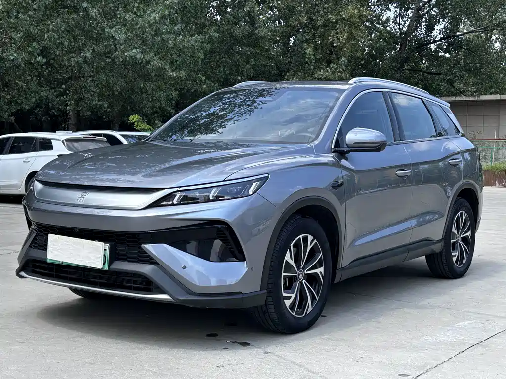 BYD Pro New Energy
