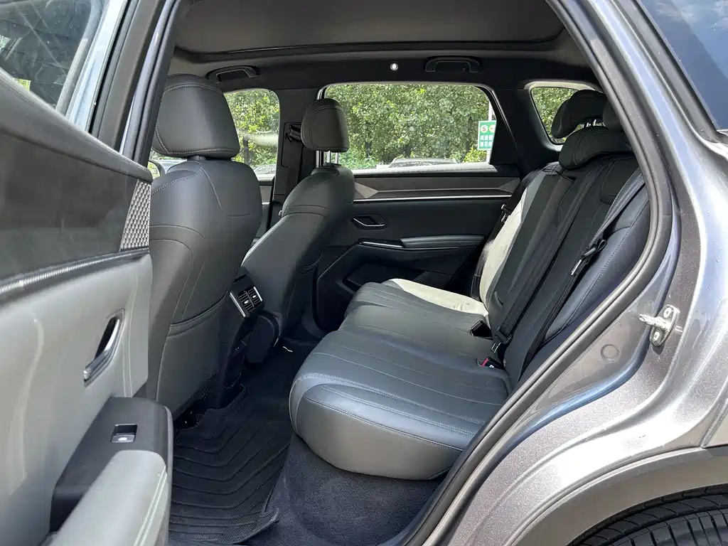 BYD Pro New Energy — миниатюра 6