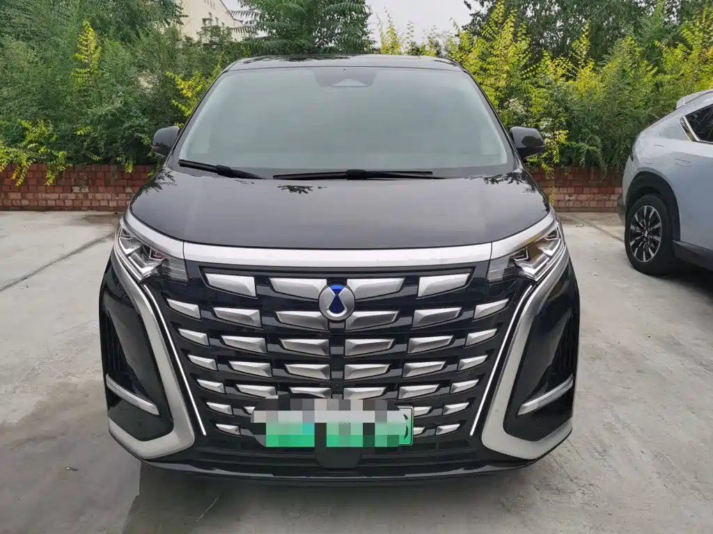 Denza Denza D9 — миниатюра 3
