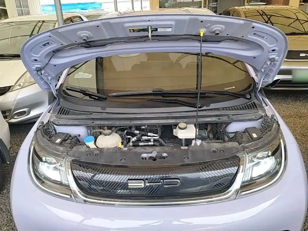 BYD Dolphin — миниатюра 20