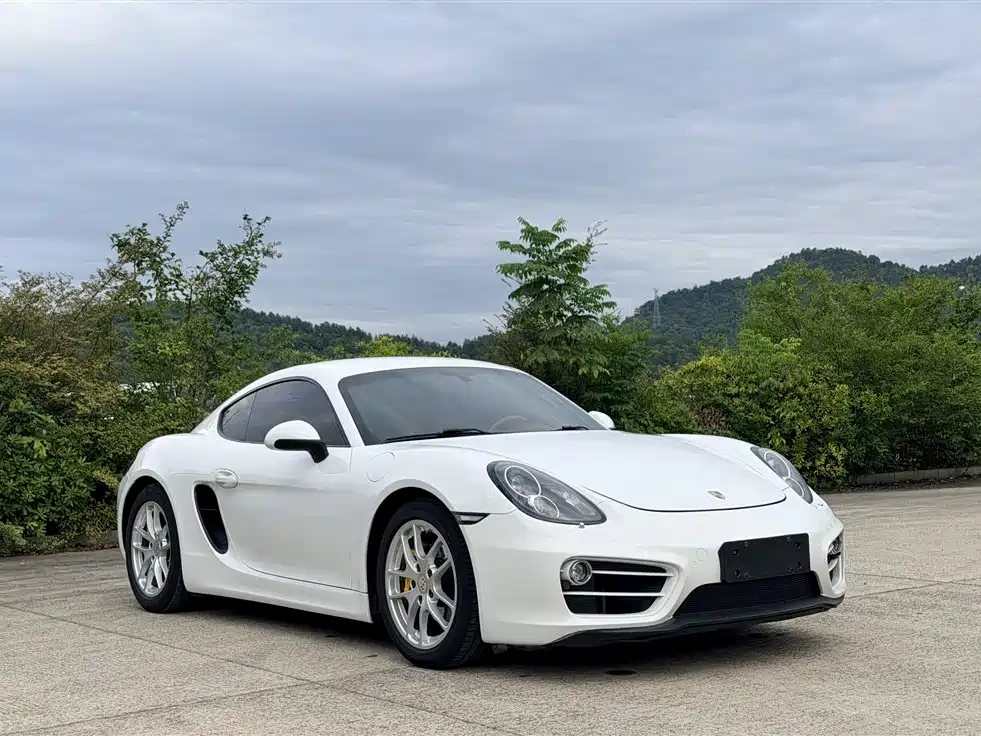 Porsche Cayman — миниатюра 4