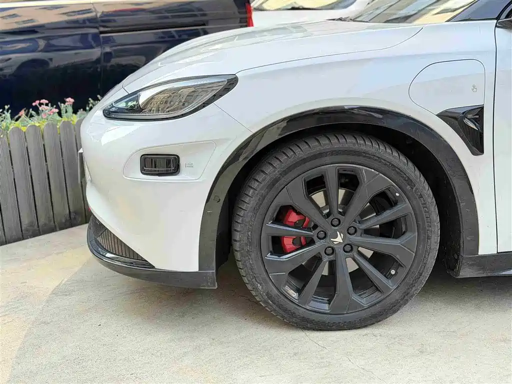 ARCFOX EXTREME FOX POLAR FOX ALPHA S