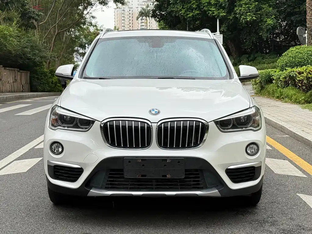 BMW X1 — миниатюра 2