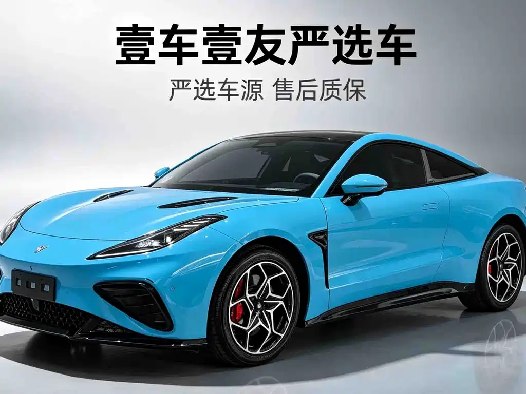 Neta Neta GT
