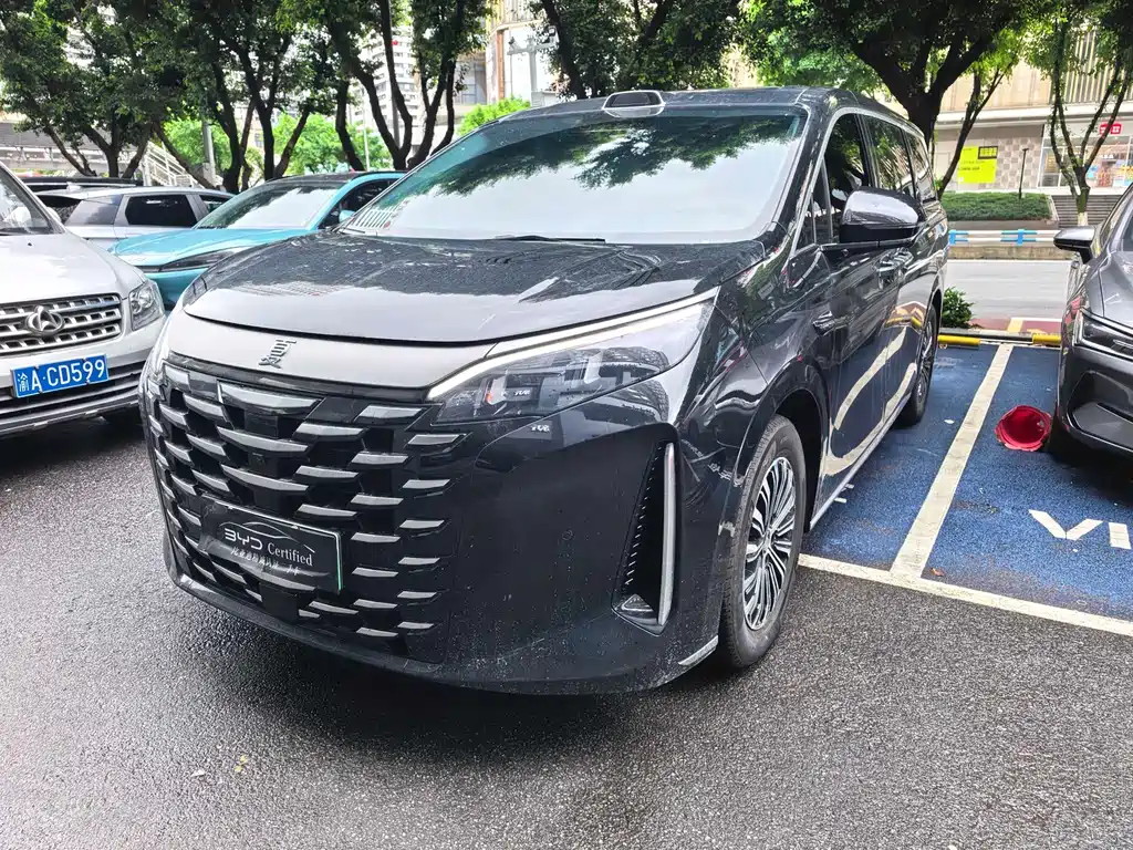 Byd Xia 2025