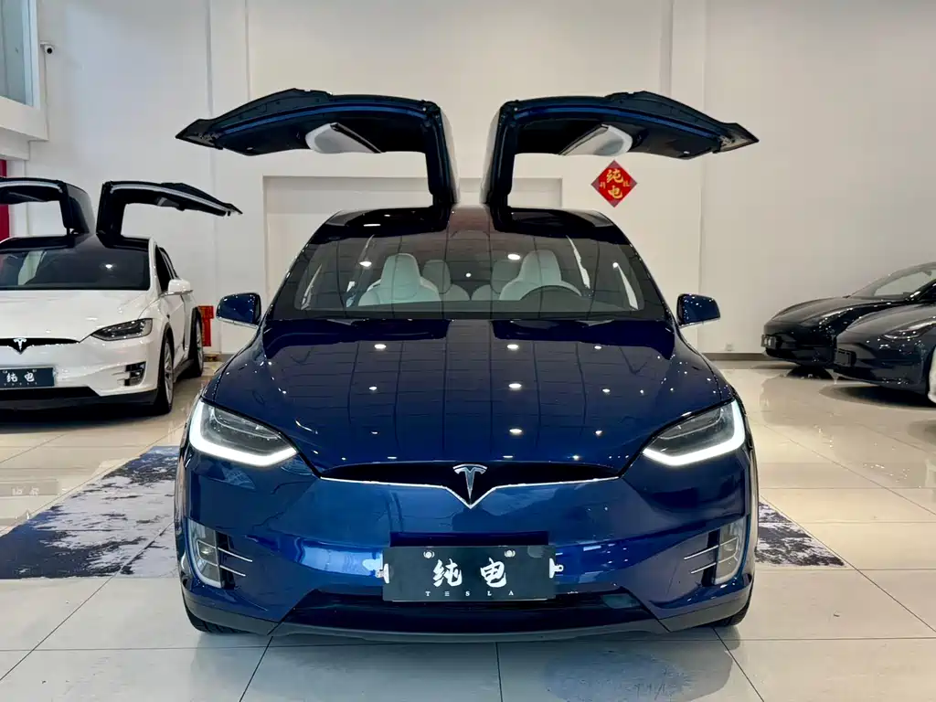 Tesla Model X — миниатюра 2